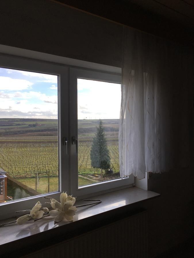 Ferienwohnung Ha-Wei -80 M2 Hangen-Weisheim Eksteriør bilde
